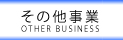 株式会社キャリアプロのその他事業 OTHER BUSINESS