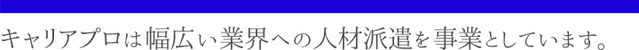 キャリアプロは幅広い業界への人材派遣を事業としています。