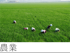 農業